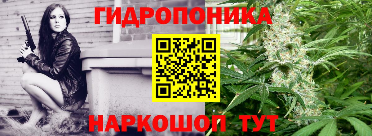 Тверь  Бошки Шишки тримм  Вход с VPN  Бошки Шишки Amnesia  Бошки марихуана сатива  Канабис MAZAR 